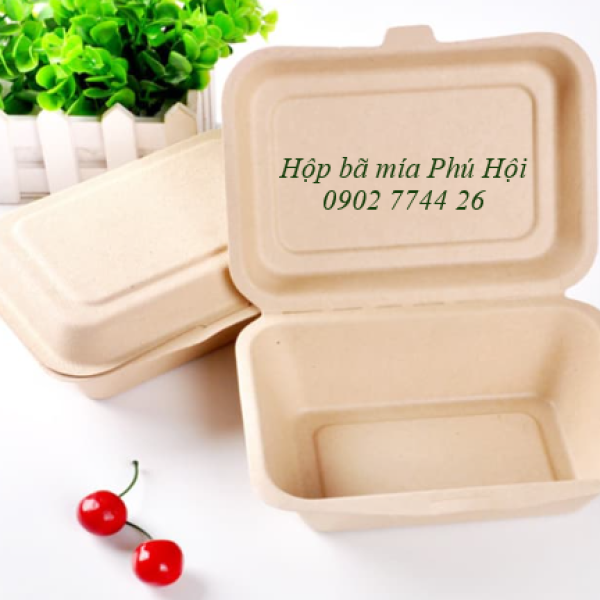 Hộp bã mía 1 ngăn nắp liền 750ml